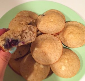 Blueberry Protein Muffins
